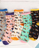 Dachshund Socks Assorted Colours