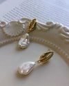 Cowrie Shell Pearl Earrings 18k Gold