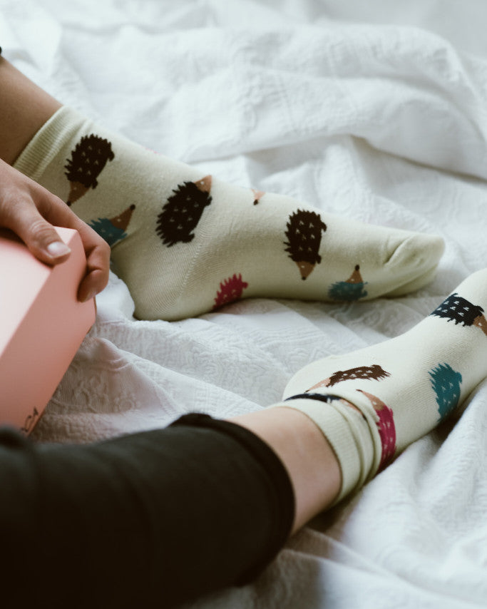 Hedgehog / Echidna Socks