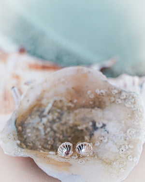 Shell Stud Earrings